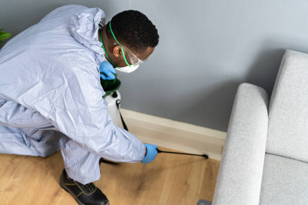 Emergency Pest Control Services in Belford, NJ